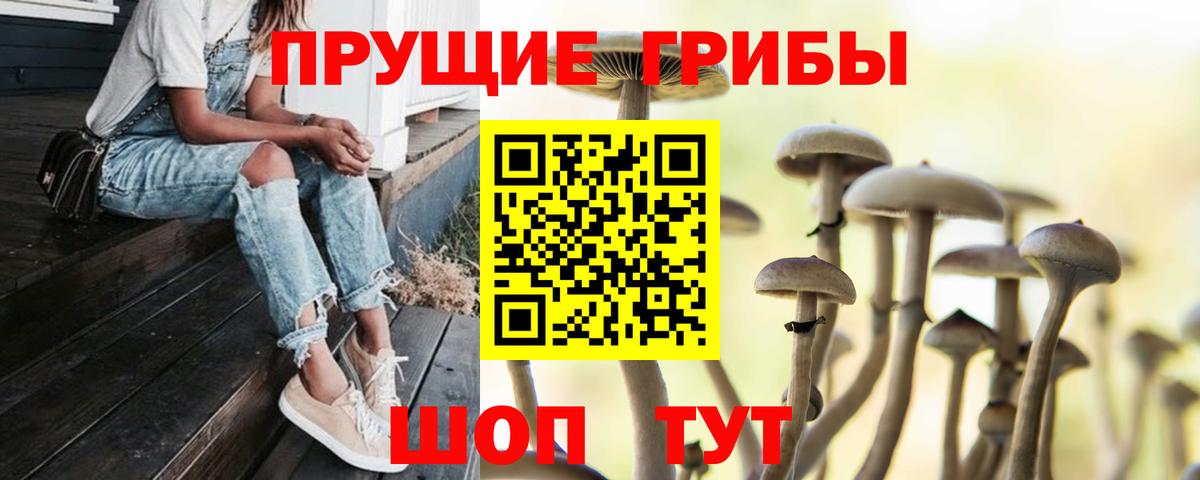 Галлюциногенные грибы мухоморы Ижевск